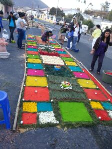 ImportedPhoto.753618108.26125